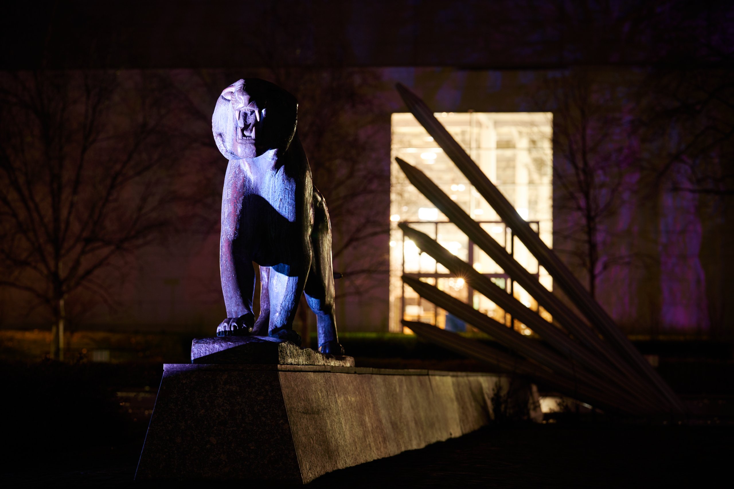 2023 01 23 Parkleuchten 0062